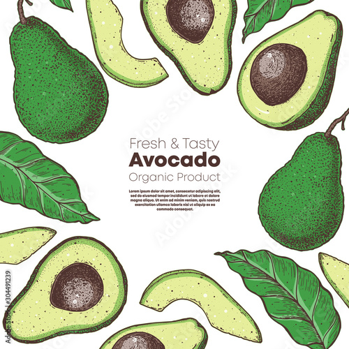 Avocado hand drawn illustration. Avocado frame. Sketch vector illustration. Can used for packaging design.