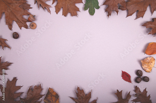 Autumn backdrop - frame autumn leaves