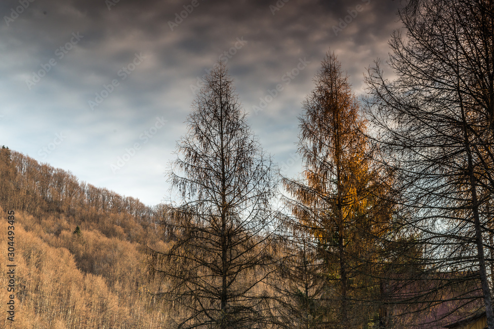 Bieszczady Mountains in the autumn mood. Bieszczady Mountains in the autumn mood.