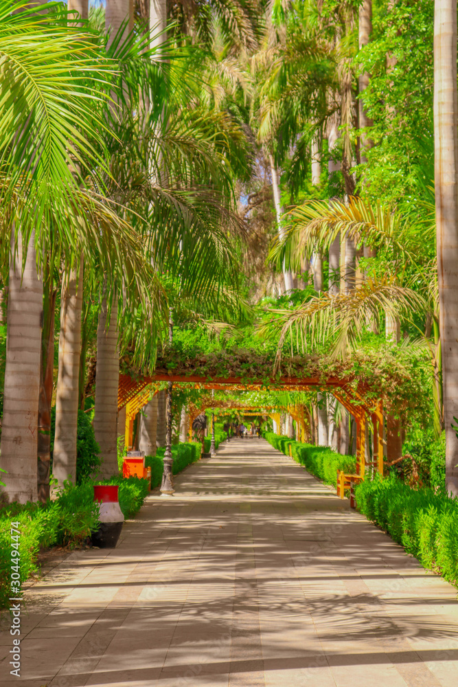 Obraz premium path in park