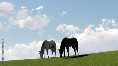 horses Landscape at Sky Background 3D Rendering