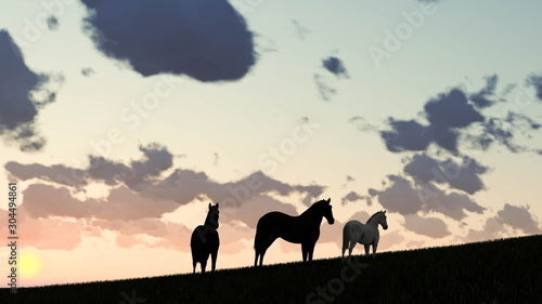 Horse Outdoor at Sunset 3D Rendering