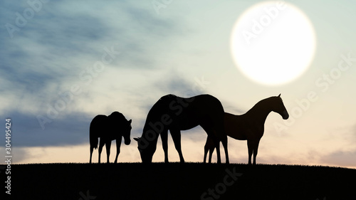 Horse Outdoor at Sunset 3D Rendering