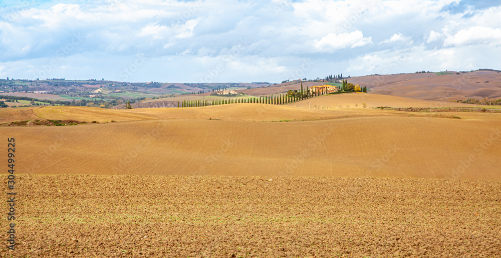 Fototapeta premium Tuscany Country Landscape Val d'Orcia Italy