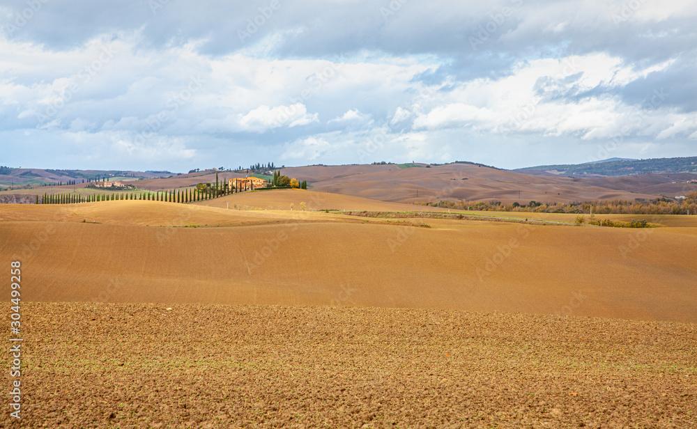 Fototapeta premium Tuscany Country Landscape Val d'Orcia Italy