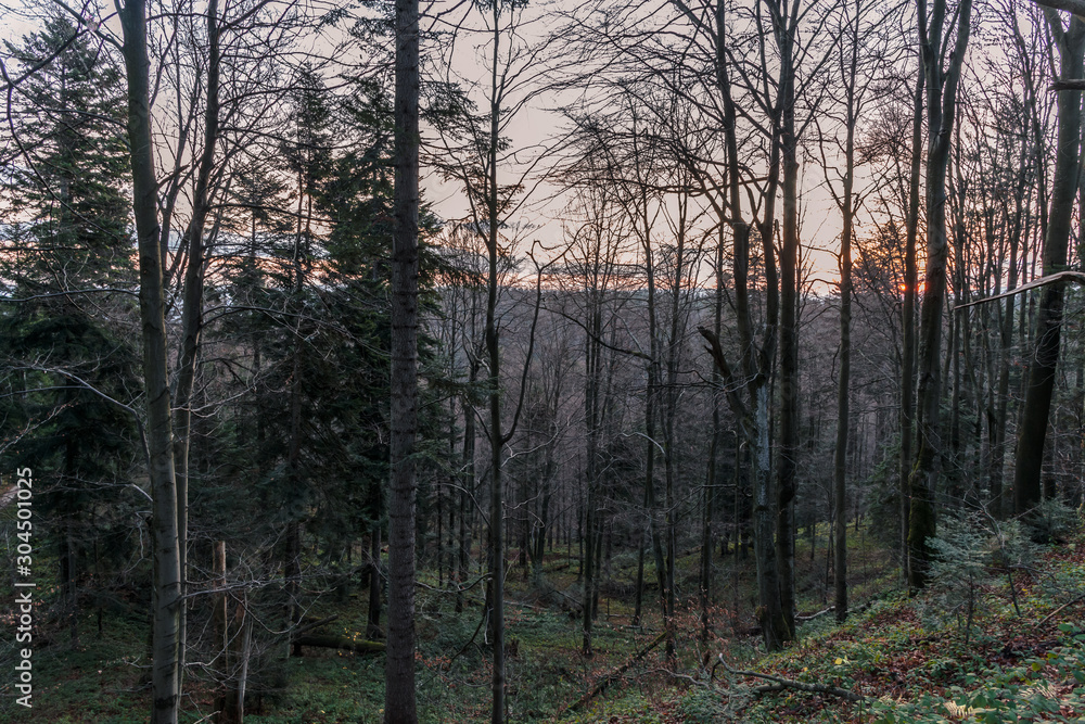 Bieszczady Mountains in the autumn mood. Bieszczady Mountains in the autumn mood.