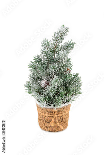 Homemade Christmas tree decoration with hoarfrost and cones set in a pot isolated on white background. Plastic Xmas tree in sackcloth flower pot isolated on white underlay.
