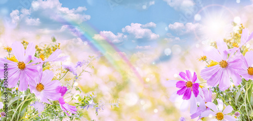 Wildflowers on a natural ba...