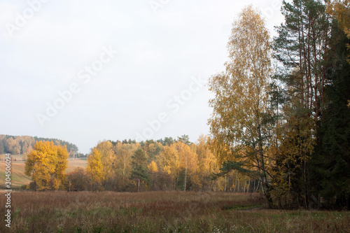 Autumn landscape at the edge of the forest.