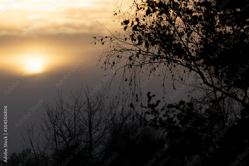 Fototapeta premium Die Sonne scheint durch den Nebel