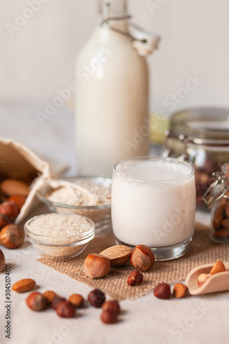 Fresh organic vegan milk. Alternative source of protein for vegetarians. Raw almond, hazelnut, rice and oat to show ingredients. Concept of healthy lifestyle. Closeup, white background, rustic style