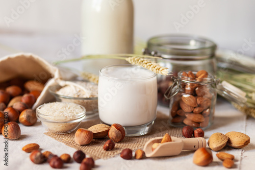 Fresh organic vegan milk. Alternative source of protein for vegetarians. Raw almonds, hazelnuts, rice and oat to show ingredients. Concept of healthy lifestyle. Closeup, white background.
