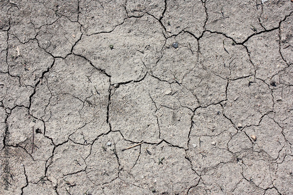 Fototapeta premium Dry cracked earth texture
