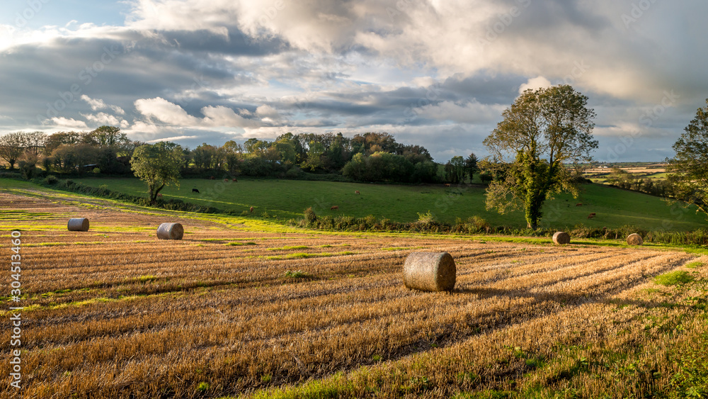 Sunset country village scenic view landscape farming straw bales Cork Ireland
