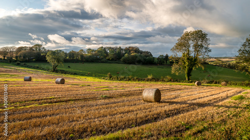 Obraz na płótnie Sunset country village scenic view landscape farming straw bales Cork Ireland w salonie