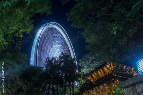 The Wheel of Brisbane at night from The Nepal Peace Pagoda © photoopus