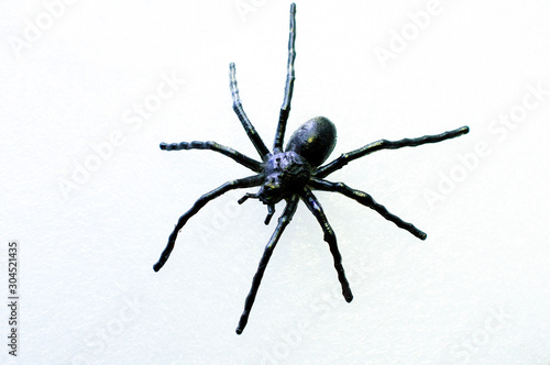 Decorative big black spider on a white background