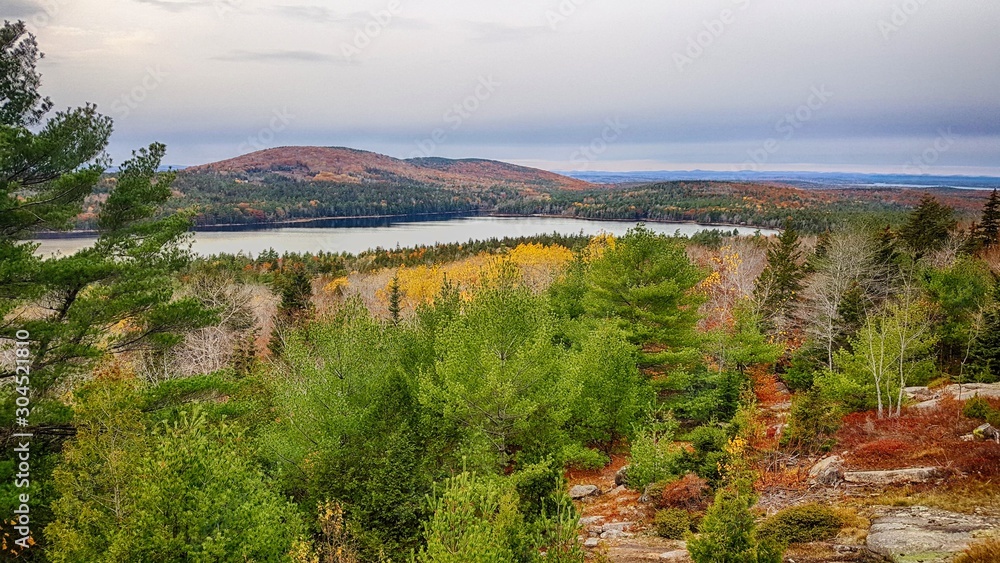 panoramic view of the bay