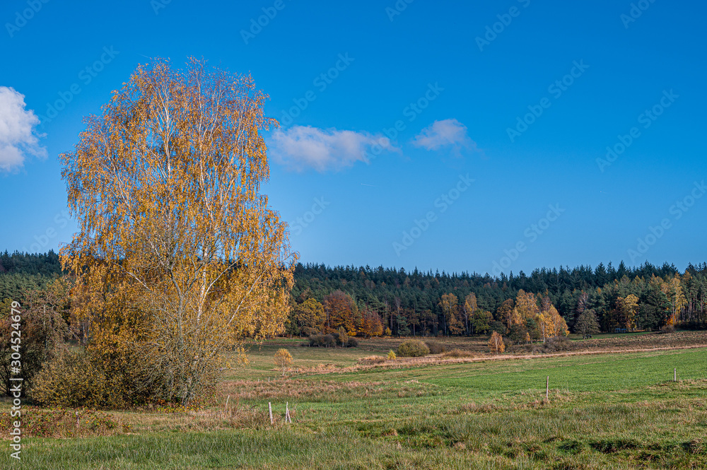 Goldener Oktober im Odenwald, Grasellenbach Goldener Oktober im Odenwald, Grasellenbach