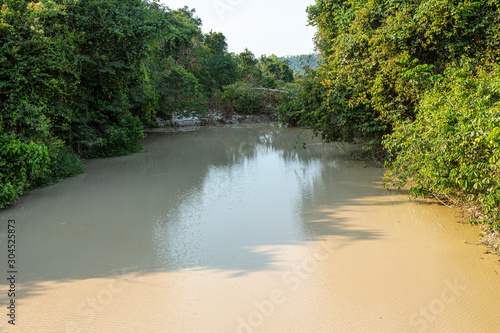 Milky waters of Curua River polluted with mercury and chemicals used in illegal gold mining  with forest in the background near Castelo dos Sonhos  Para  Brazil. Concept of environment and pollution.
