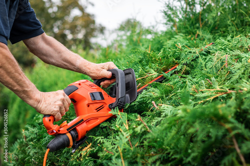 Gardener cutting bush by hedge trimmer in garden
