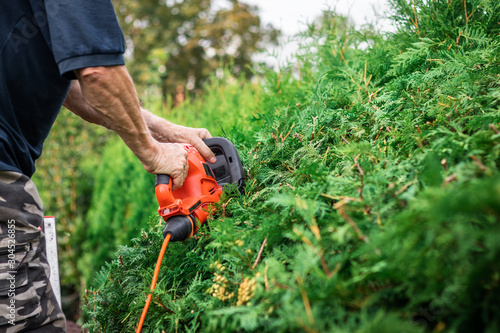 Gardener using electric hedge clippers for trimming hedge