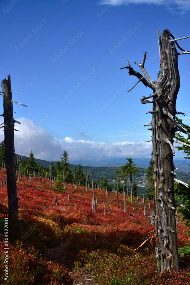 Obraz premium Autumn view of the Polish Giant Mountains 