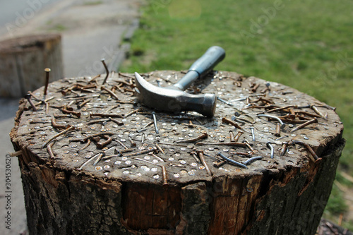 Hammered and bend nails in tree trunk