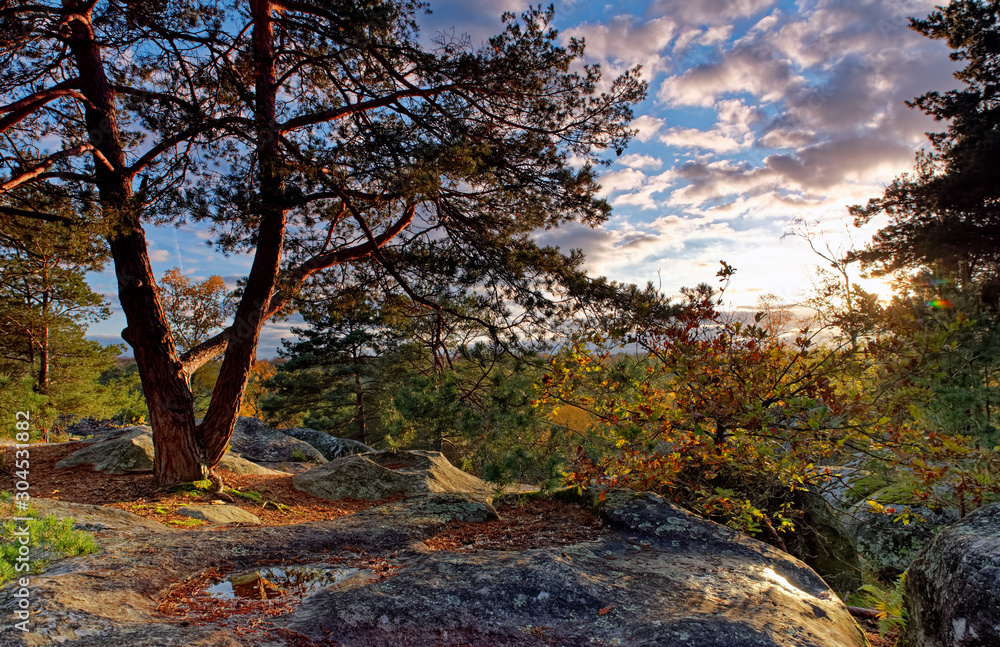 Gorges de Franchard in autumn season.Fontainebleau forest Gorges de Franchard in autumn season.Fontainebleau forest