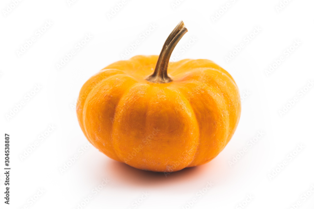 Pumpkins on old rusrik wooden. Thanksgiving day Pumpkins on old rusrik wooden. Thanksgiving day