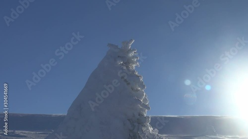 Drifting snow, natirvik. Snowflakes are flying over snow surface winter North on a Sunny day. Snow-covered trees in background. photo