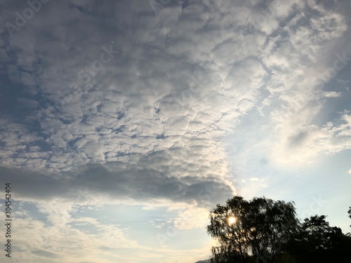 tree with clouds