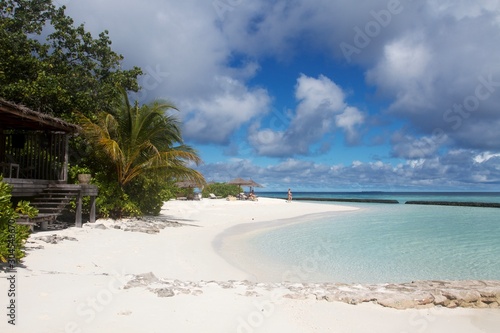 tropical beach with palm trees, Maldives