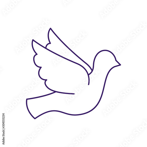 Isolated dove bird line vector design