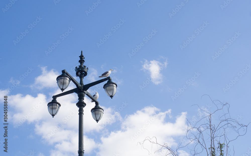 Lamppost with four bulbs and two seagulls resting on it