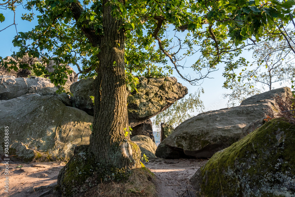 Teufelsmauer Blankenburg - Harz, Sachsen-Anhalt Teufelsmauer Blankenburg - Harz, Sachsen-Anhalt