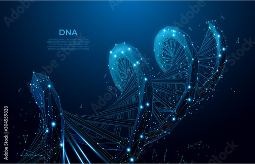 DNA. Abstract 3d polygonal wireframe DNA molecule. Medical science, genetic biotechnology, chemistry biology, gene cell concept vector illustration or background. Polygonal wireframe mesh art