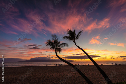 Fototapeta Naklejka Na Ścianę i Meble -  Tropical Hawaiian Sunset with the silhouette of two palm trees on Kaanapali beach