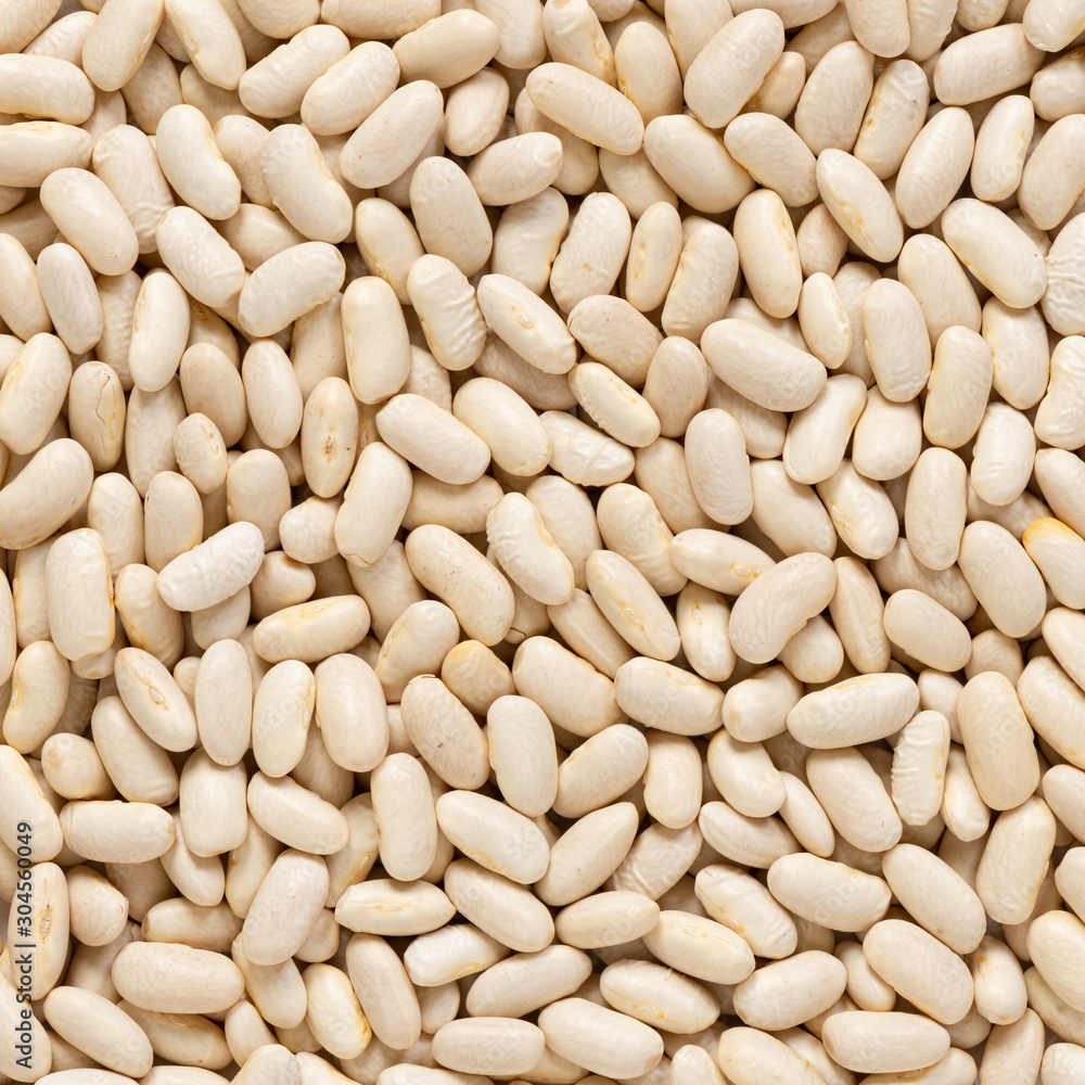 White kidney beans cannellini macro background White kidney beans cannellini macro background