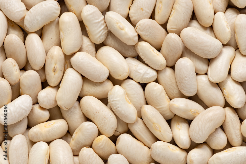 White kidney beans cannellini macro background White kidney beans cannellini macro background
