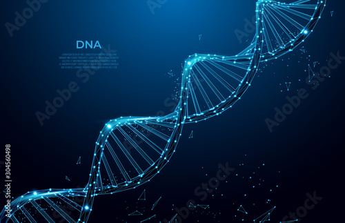 DNA. Abstract 3d polygonal wireframe DNA molecule. Medical science, genetic biotechnology, chemistry biology, gene cell concept vector illustration or background. innovation technology concept photo