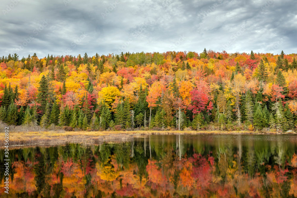 Fototapeta premium Fall colors on the forested mountains with reflection at the lake