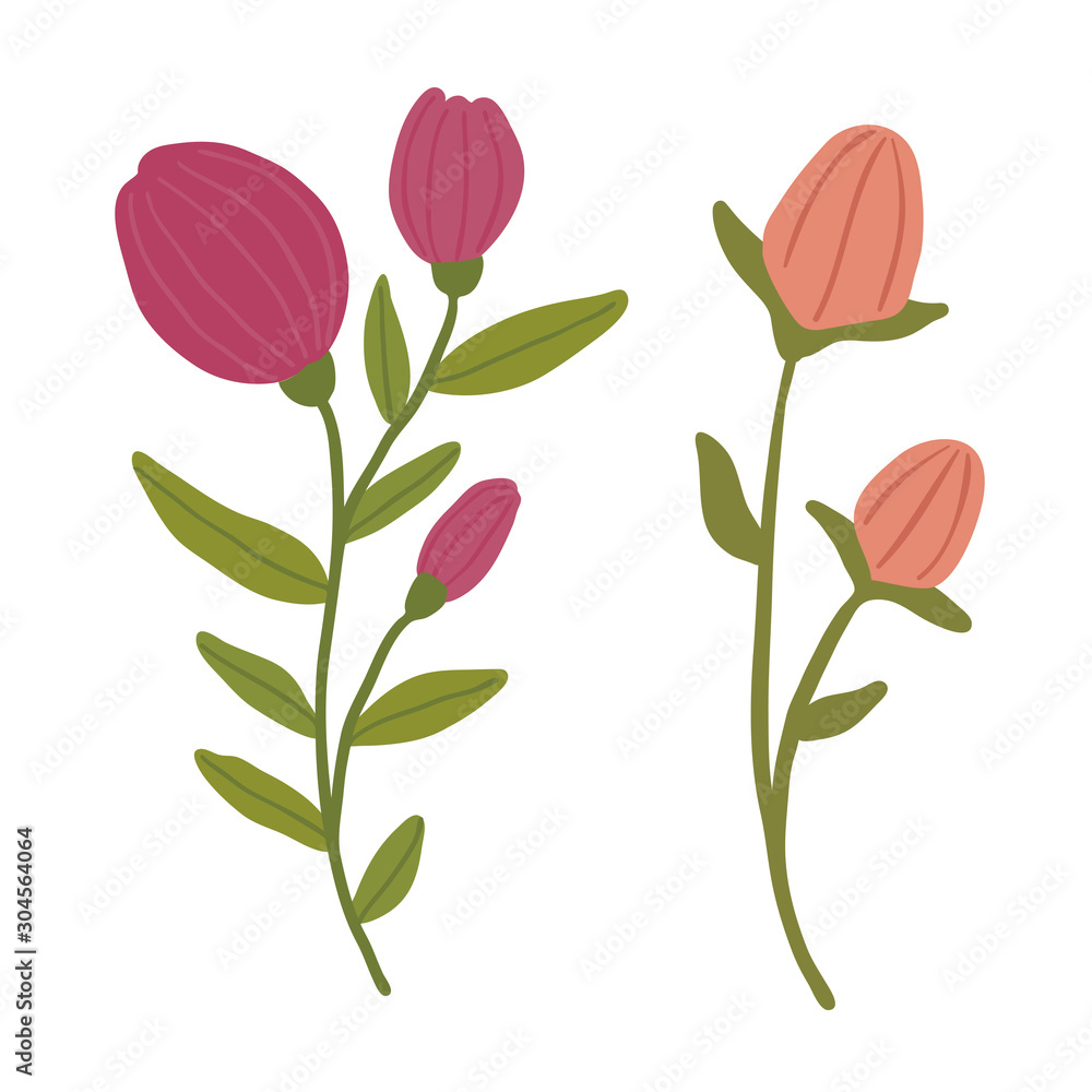 Floral vector illustration. Decorative isolated flowers.