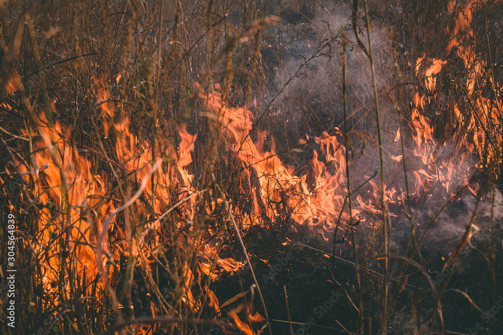 Dry grass on farm fields in flames. These man made fires are dangerous to the environment.