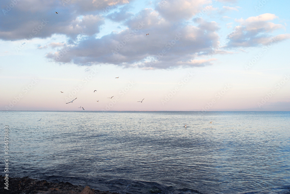 Fototapeta premium sunset over the sea