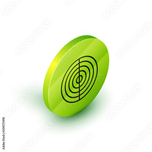 Isometric line Earth structure icon isolated on white background. Geophysics concept with earth core and section layers earth. Green circle button. Vector Illustration