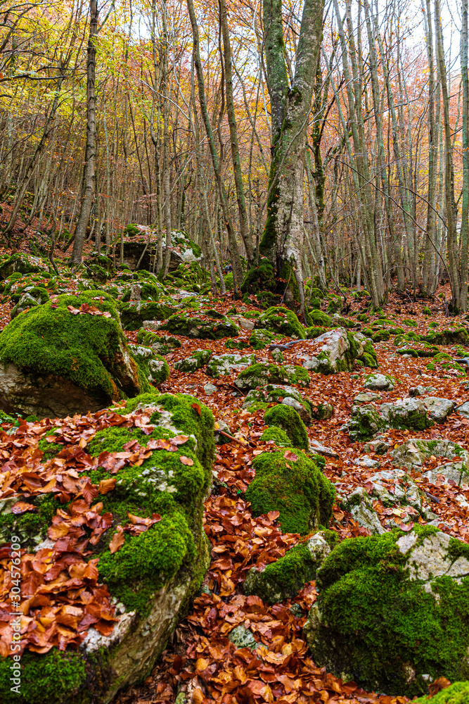 Parco Nazionale D'Abruzzo Lazio Molise Parco Nazionale D'Abruzzo Lazio Molise
