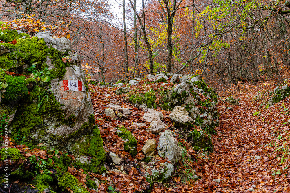 Parco Nazionale d'Abruzzo Lazio Molise Parco Nazionale d'Abruzzo Lazio Molise