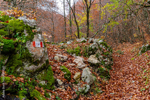 Parco Nazionale d Abruzzo Lazio Molise