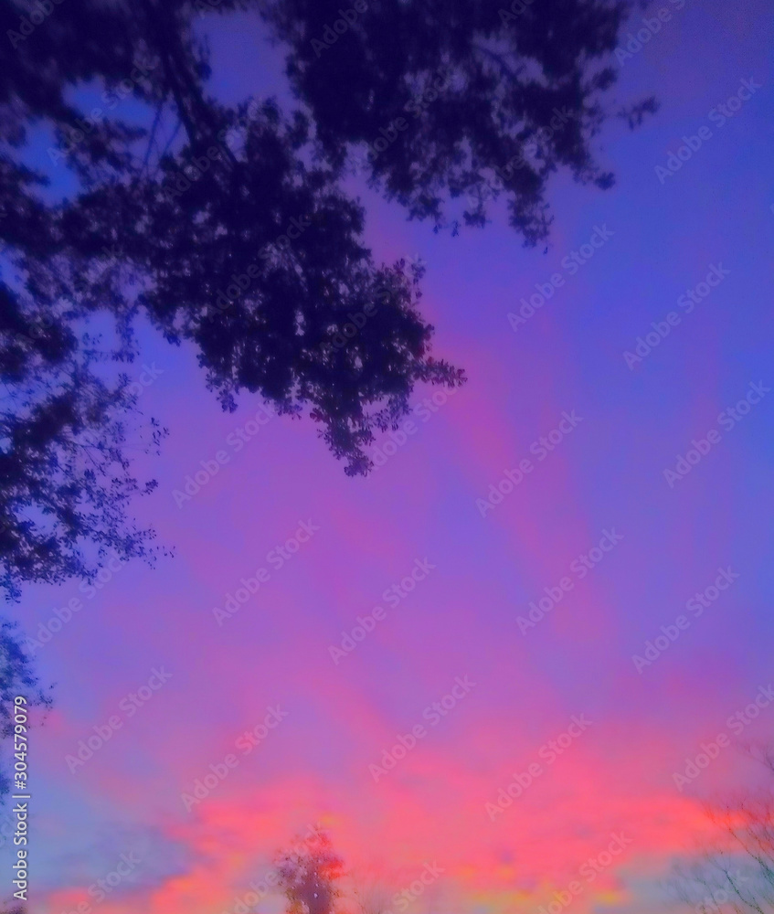 Heavenly Pink Louisiana Coastal Sky Among The Trees